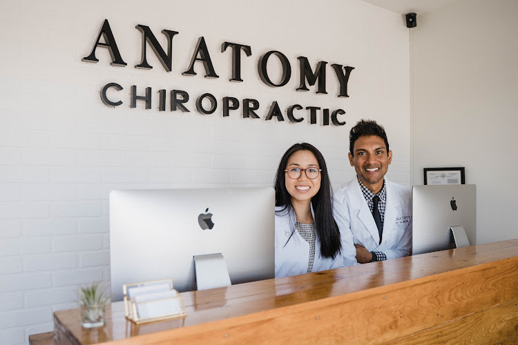 Anatomy Chiropractic