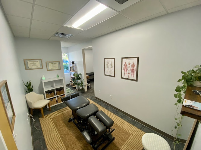 One Body Chiropractic