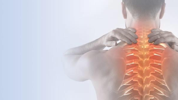 Elite Spinal & Sports Care