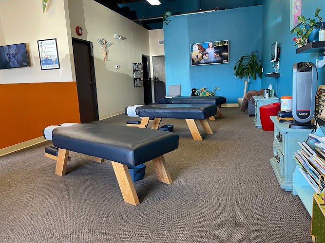 Chiropractic Center for Health and Human Potential